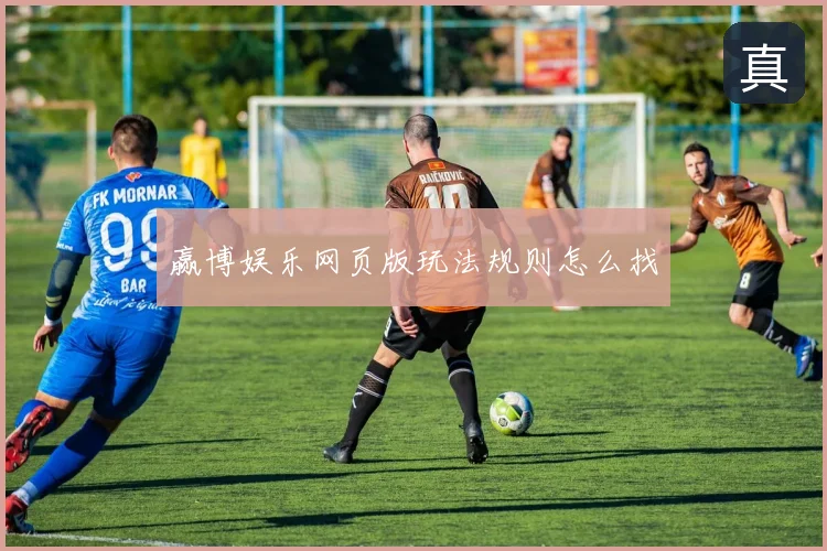 赢博娱乐网页版玩法规则怎么找