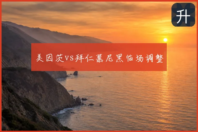 美因茨vs拜仁慕尼黑临场调整